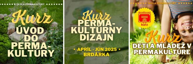 Kurzy